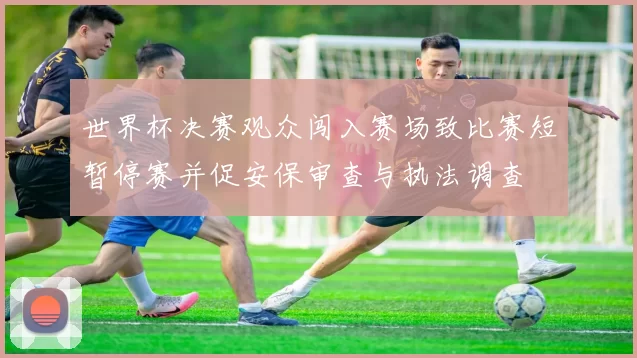 世界杯决赛观众闯入赛场致比赛短暂停赛并促安保审查与执法调查